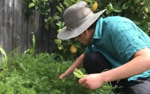 刑天大叔墨尔本生活之22：墨尔本没有梅雨季