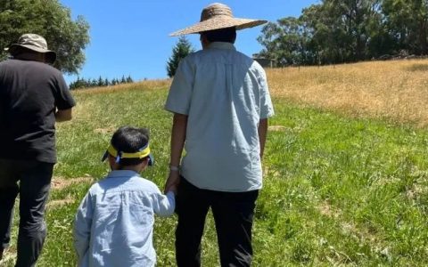 去墨尔本土豪朋友的农场一日游（刑天墨尔本生活之28）