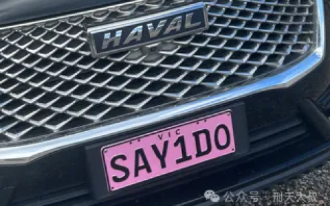 Say,I Do!给你展示各种有趣的澳洲个性化车牌