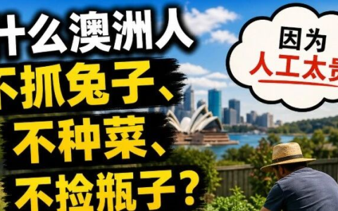 为什么澳洲人不抓兔子、不种菜、不捡瓶子？答案只有一个